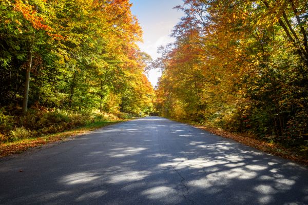Cost of Blacktop Replacement in Livermore